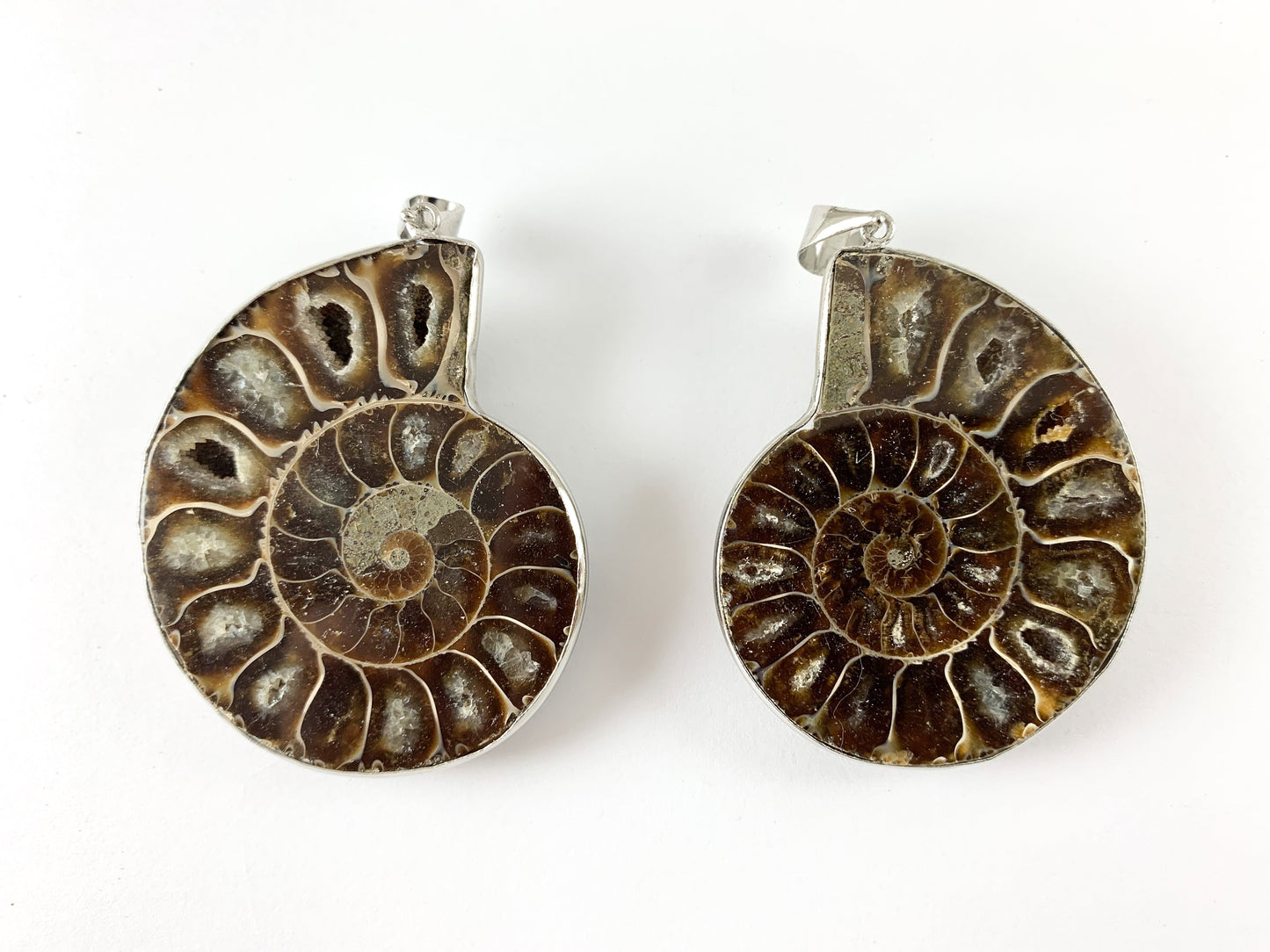 1 PC Beautiful Ancient Natural Ammonite Fossil Single Pendant with Silver Trim
