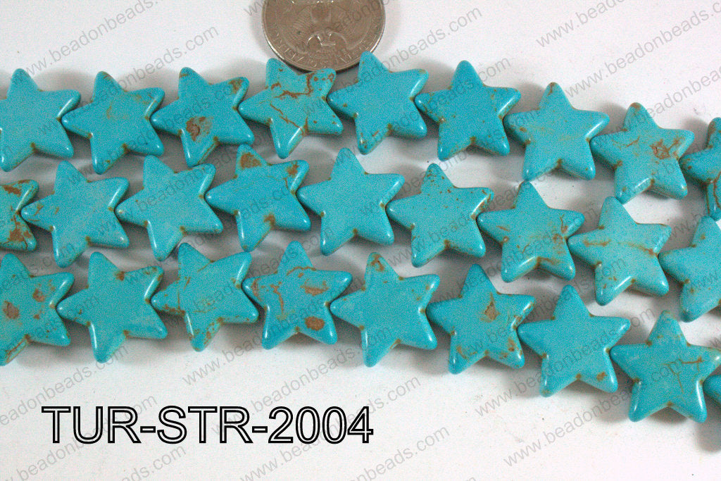 Howlite Star Turquoise 20mm TUR-STR-2004