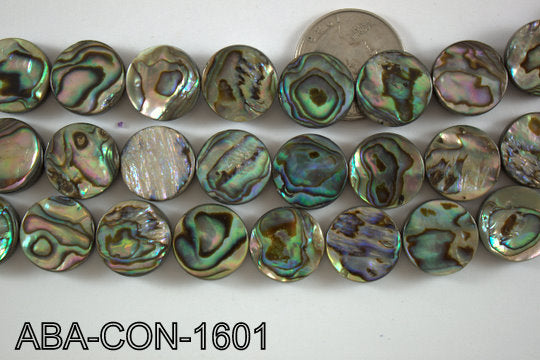 Abalone Coin 14mm ABA-CON-1601