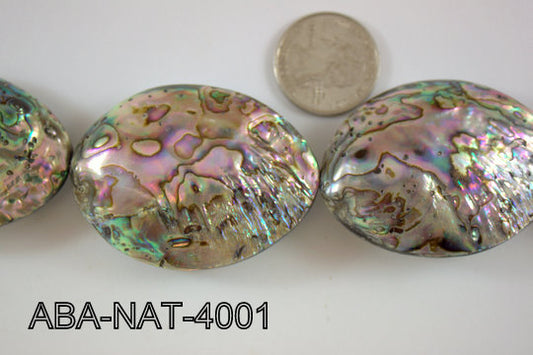 Abalone Natural Shape ABA-NAT-4001