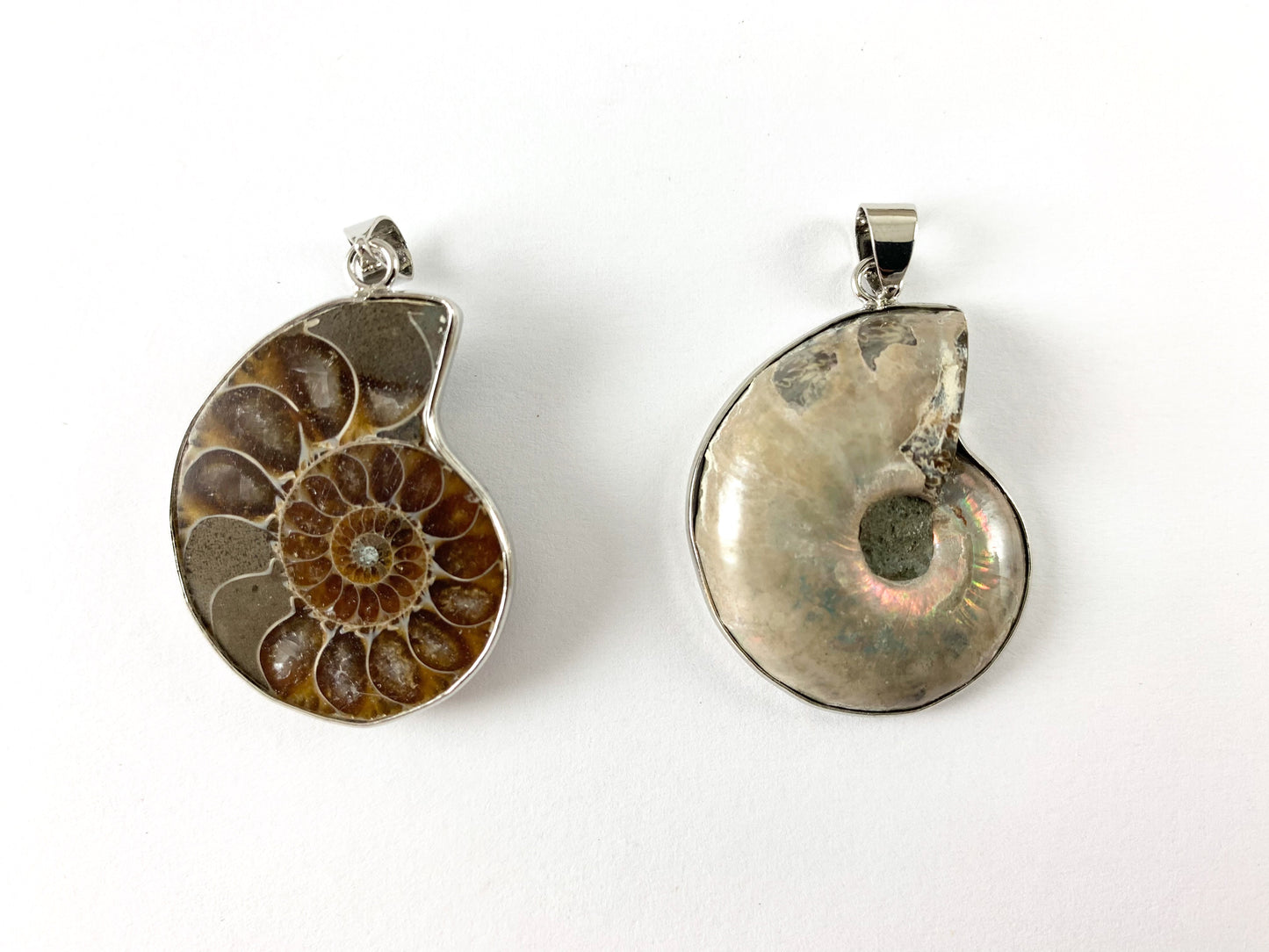 Beautiful Ancient Natural Ammonite Fossil Pair Pendant with Silver Trim, Friendship Pendant/Couple Pendant