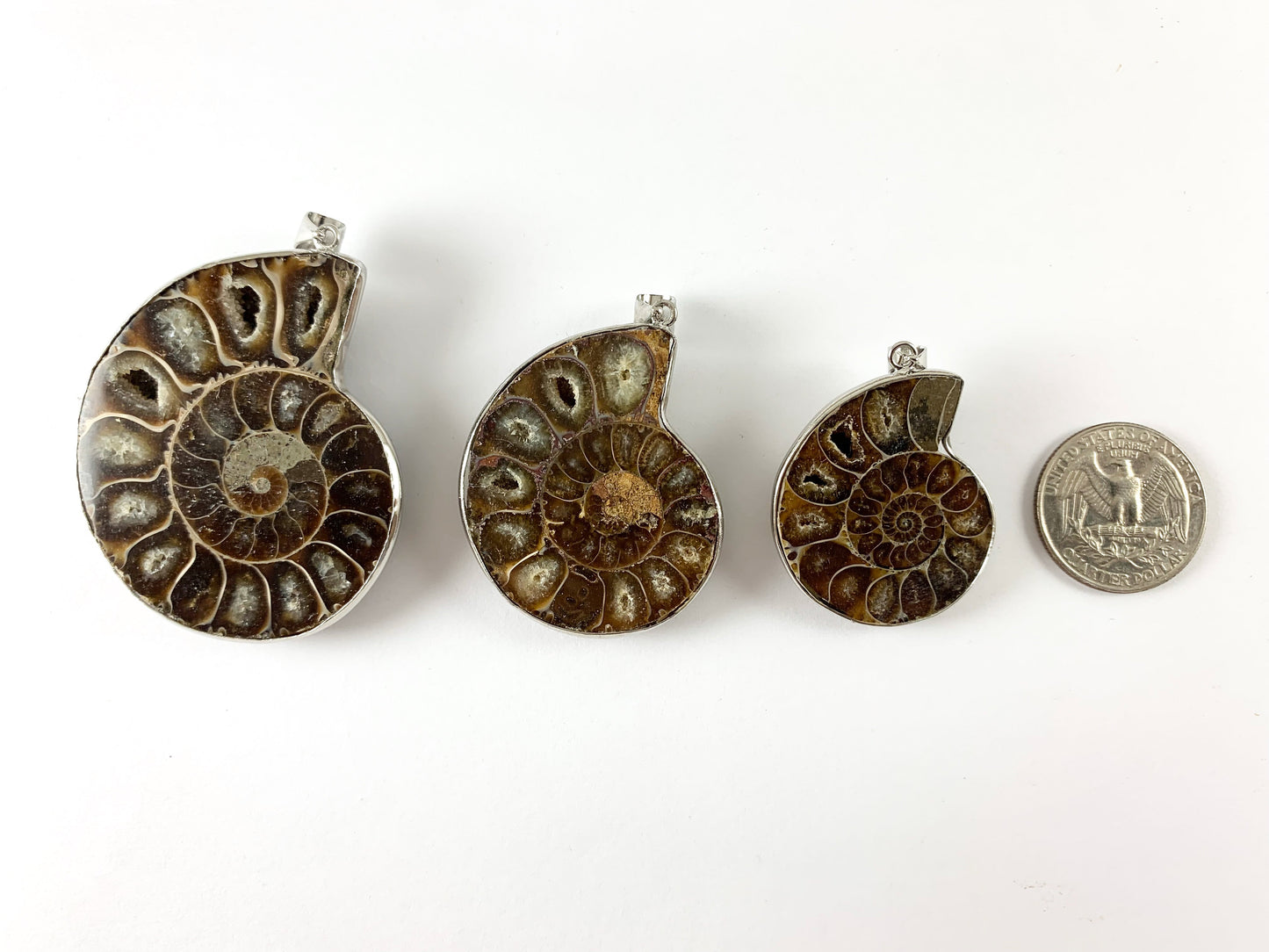 1 PC Beautiful Ancient Natural Ammonite Fossil Single Pendant with Silver Trim