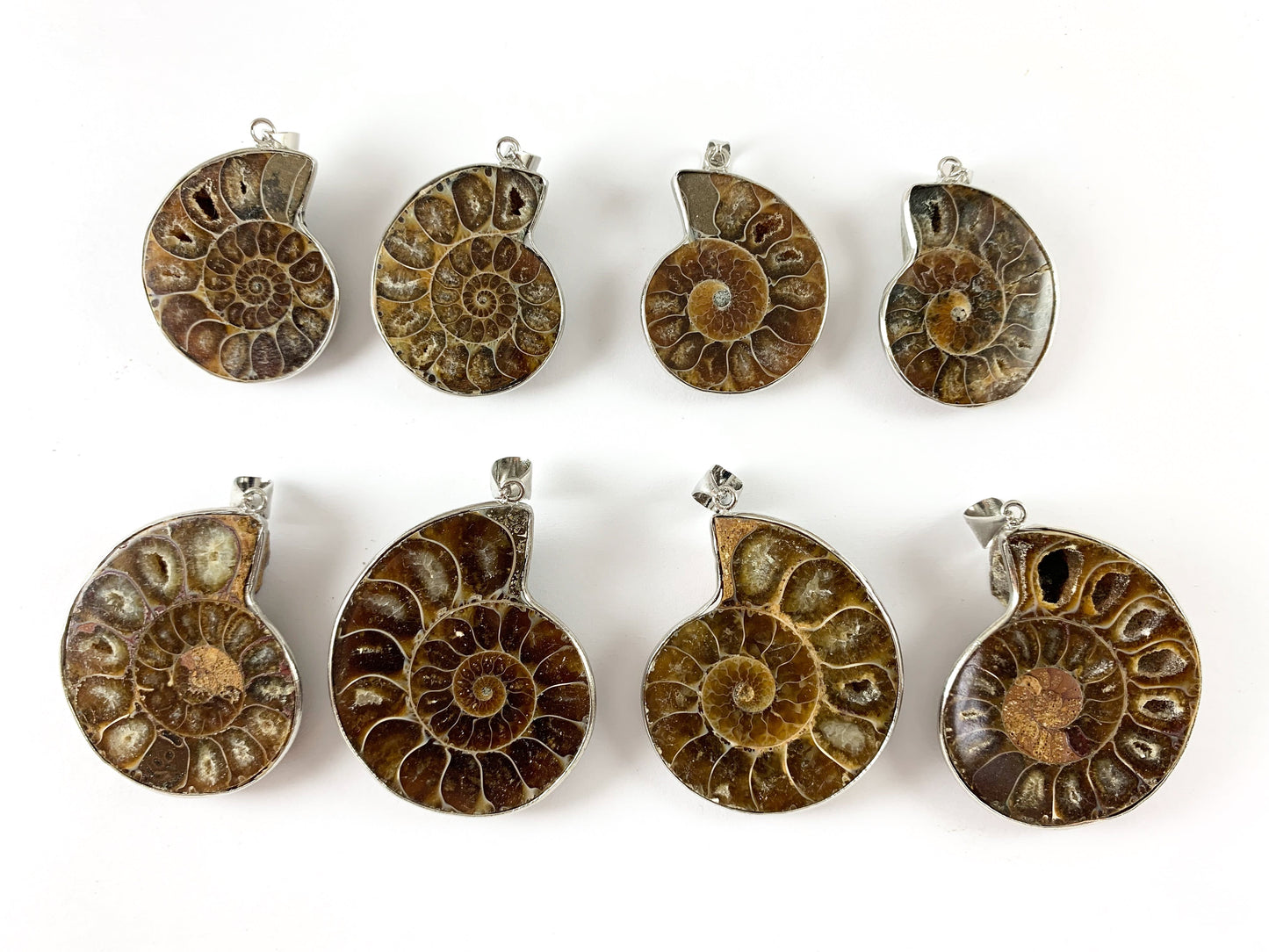 1 PC Beautiful Ancient Natural Ammonite Fossil Single Pendant with Silver Trim