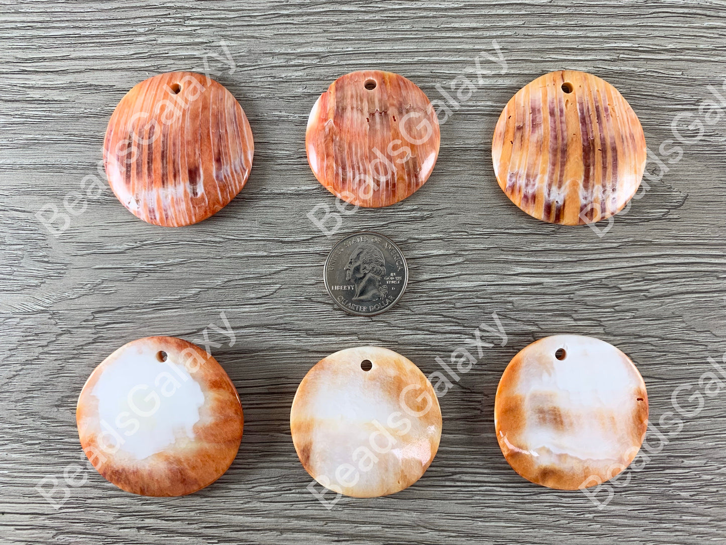 Spiny Oyster Coin Medallion Pendants - Natural Orange or Red Color